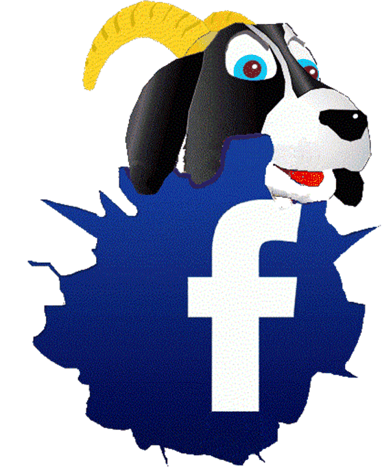 fb
